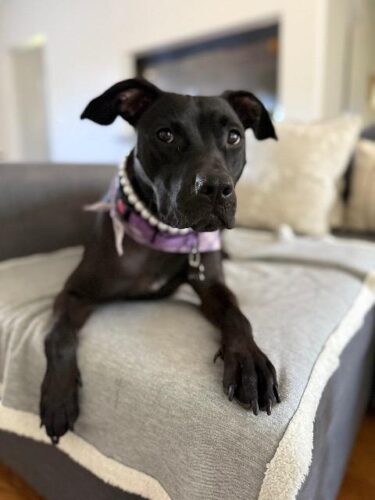 Picture of Lia